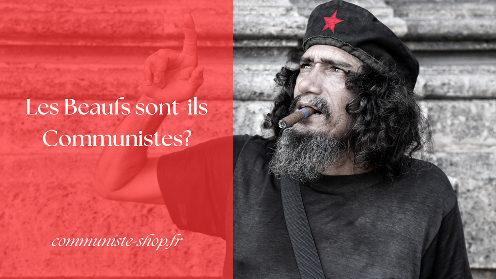 Les Beaufs sont-ils Communistes?